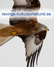 Kulturportal Revinge