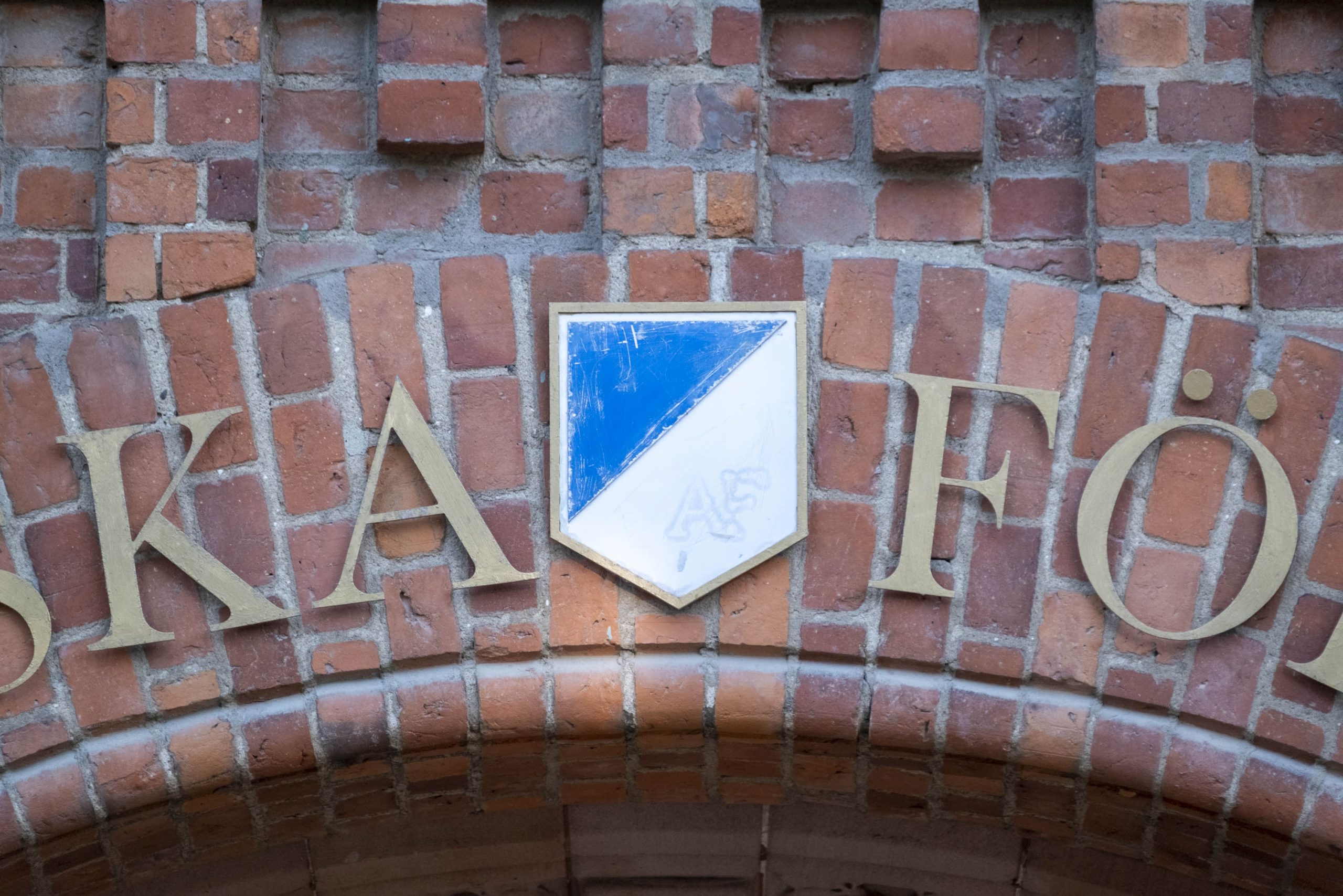 Föreningsliv